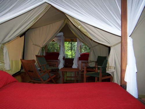 Intrepids Family tent