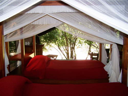 Intrepids Family tent