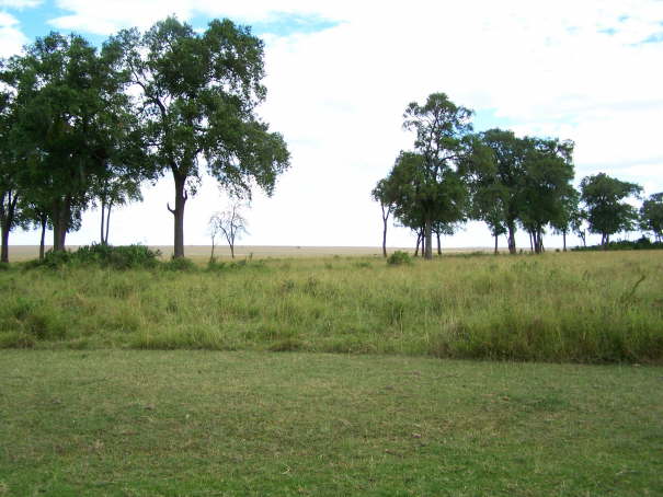 View from masai mara facing tents