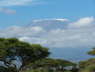 Kilimanjaro (Amboseli , June 2008)