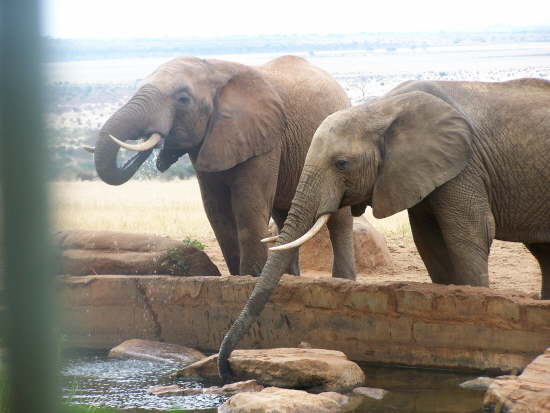 Photos from the photo hide