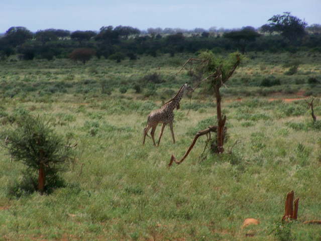View whilst eating lunch!