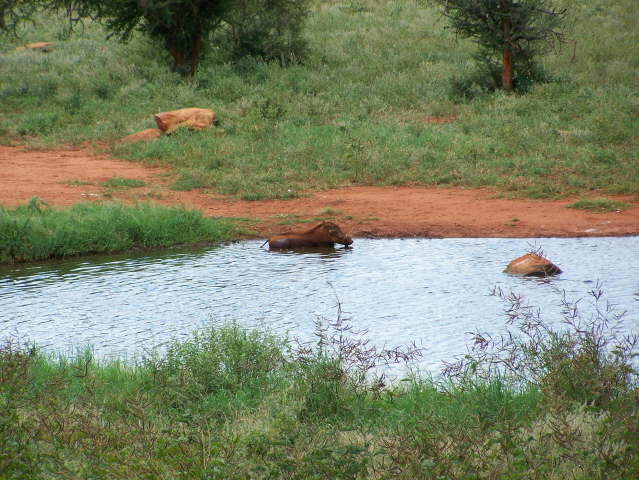 View whilst eating lunch!