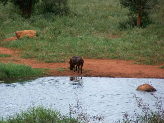 View whilst eating lunch!