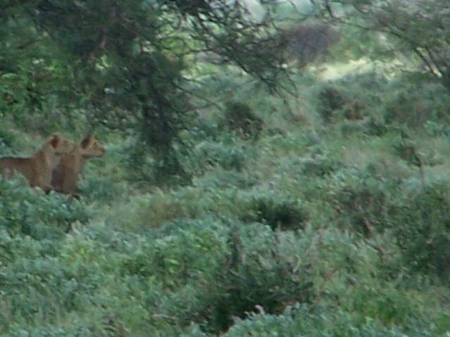 View whilst eating lunch!