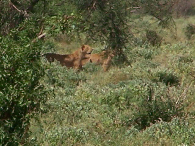 View whilst eating lunch!