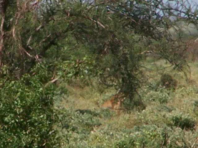 View whilst eating lunch!