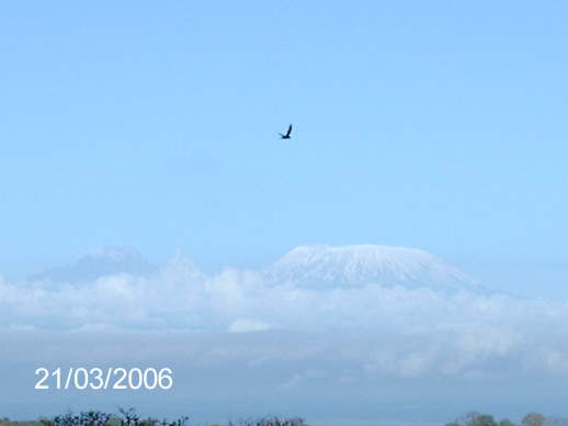 View from Kilaguni (Tsavo W, March 2006)