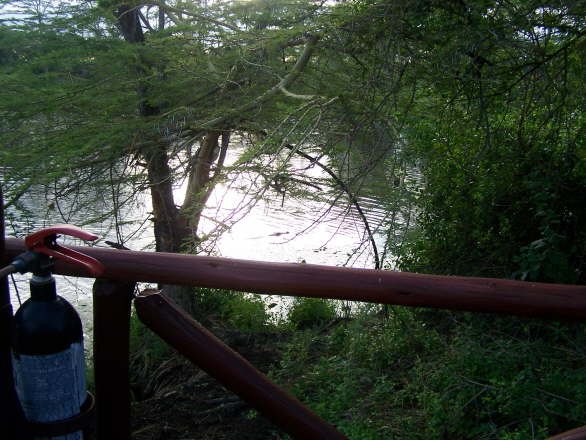 Kenya Dec 2009 237