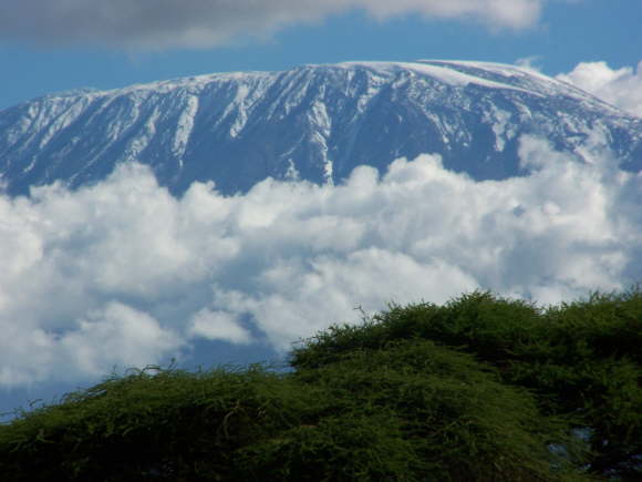 Kenya Dec 2009 Kibo Safari Camp