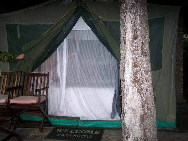 Fig Tree Camp