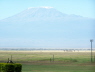 View of Kilimanjaro