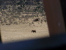 View of Tsavo plains from the cliff top restaurant