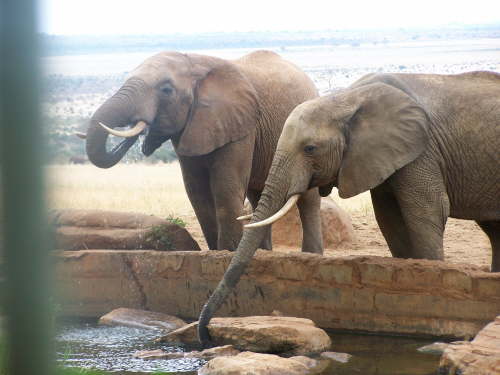 Photos from the photo hide