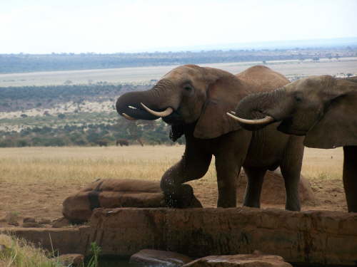 Photos from the photo hide